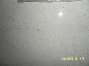 Portugal Beige Marble Slab for Countertops and Building Materials