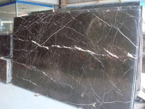 Polished Mesh Portor Gold Marble Slab for Flooring/Wall