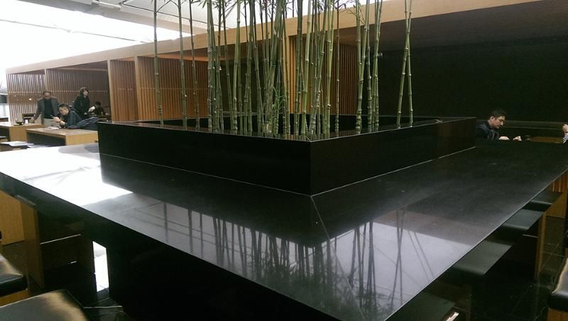 Black Jade Marble Slabs for Countertop/Patio/Paving