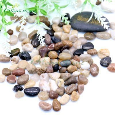 Landscape Stone High Polished Pebble Mixed Pebbles for Garden Decoration/Multi Colour Pebbles