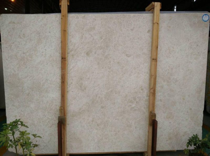 Popular Natural White Rosa Marble Slab and Tile for Hotel Wall Floor Decorate