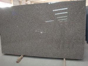 G687 Granite Slab Countertop Tiles