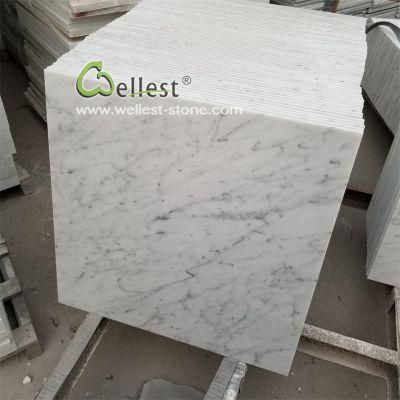 Italy Bianco Carrara White Marble with Grey Veins Floor Tile and Wall Brick/ Mosaic / Vanity Top/ Sink for Bathroom