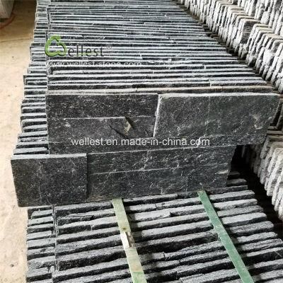 Interior Wall Decoration Black Quartz Stone Veneer, Quartzite Ledgestone Tile 18X35cm