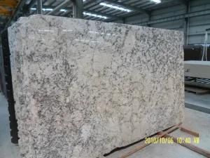 Imported Granite White Persa for Tiles/Countertops/Kitchentops/Hotel/Building Materials