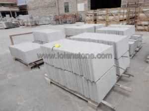 G603 Tile