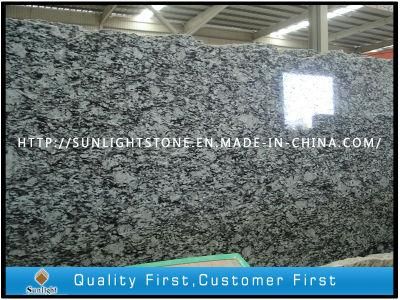 Polished Spray White, Sea Flower White Granite Slabs for Stairs