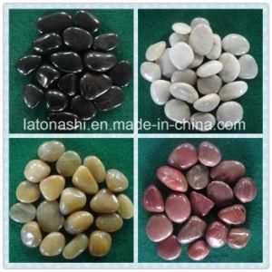 River White/Black/Green/Brown Stone Pebble for Flooring Tile/Garden/Driveway