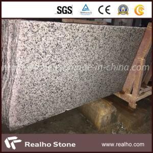 Chinese Polished Oriental White Bianco Sardo G640 Granite Slab