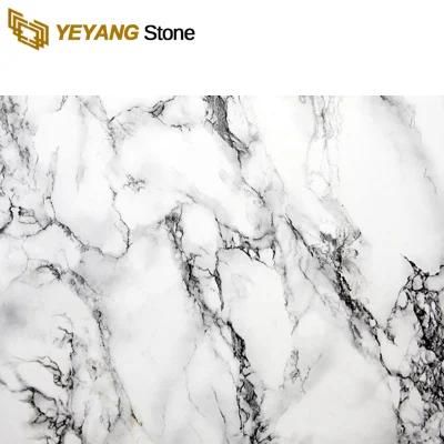 China Natural White/Grey/Black Carrara Slab Marble for Wall/Floor/Tiles/Countertop