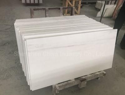 Super/White Dolomite Glacier Marble Slabs Stone Interior Floor Wall/Panel/Covering/Cladding/Facade Tiles