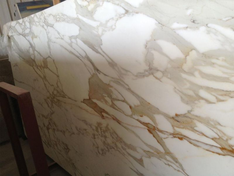 Natural Stone Calaeatta White Marble for Home/Kitchen Decoration
