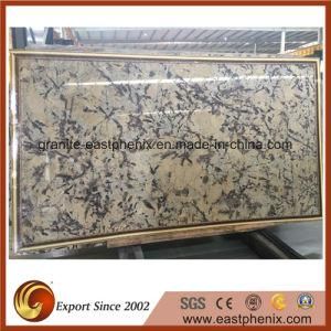 Popular Natural Marble Stone Big Slab for Paving/Floor Slab