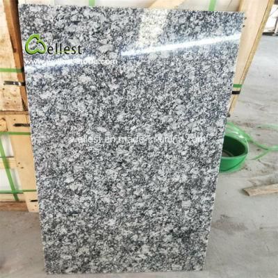 Wave Grey Granite Paving Stone Granite Tile for Floor Tile and Wall Cladding
