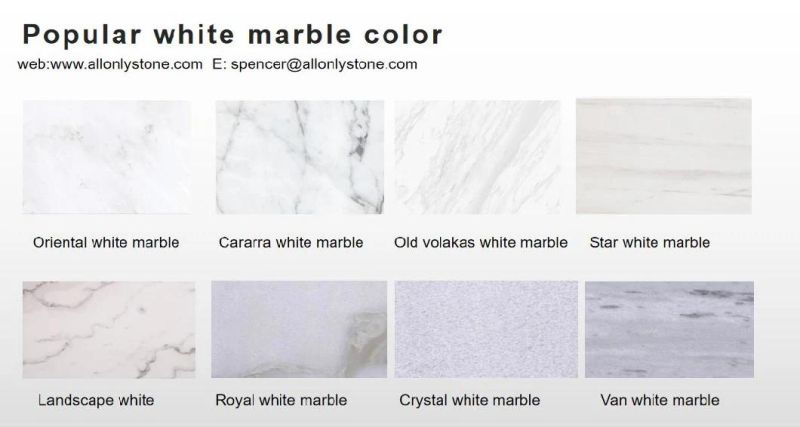 Natural Stone China Oriental White Marble for Interior Flooring/Wall/Background/Countertop/Stair