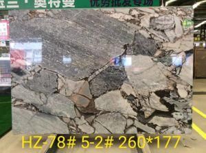 Chinese Polished Misty Land Marble Slabs