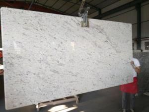 Natural White Frost Granite for Countertops Kitchen Tops