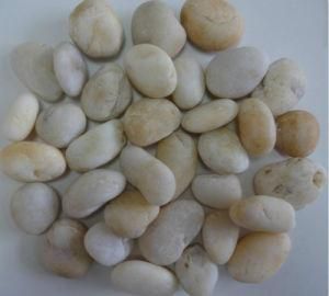 Natural Stone Pebble Stone