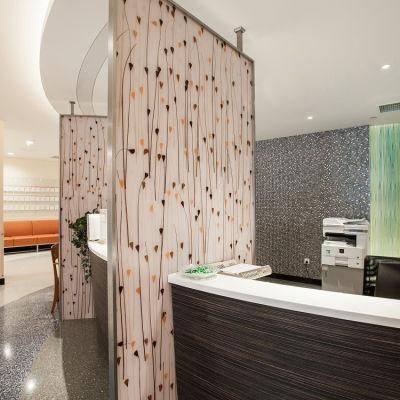 New Resin Translucent Acrylic Sheet for Hotel and Office Partition