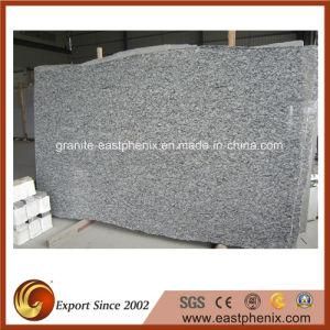 Spray White Granite Big Slabs for Tombstone/Fountain