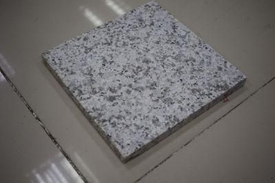 China Top White Granite/Jx G655 Granite/Jx G655 Granite for Floor/Background