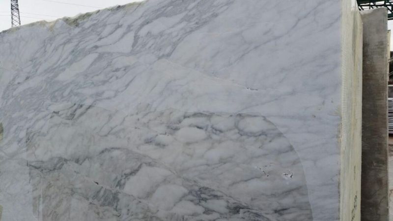 China Top Grey Granite/Calacatta Ocean Grey Granite/Grey Granite for Floor/Background