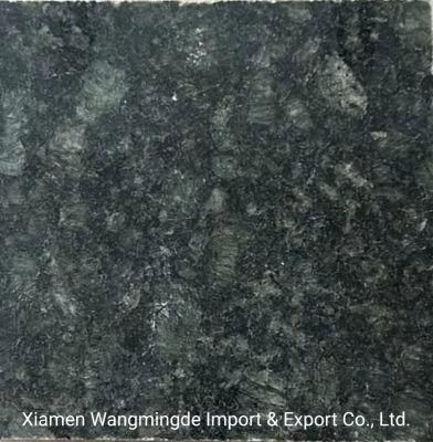 China Shandong Green Polished Granite for Kitchen Countertops