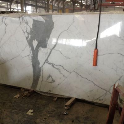 Calaeatta White Stone Marble for Flooring Tiles Slabs Countertops/Worktops/Vanitytops