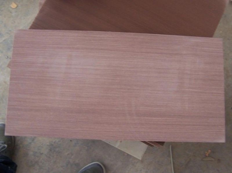 Chinese Sandstone Tiles/Slabs in Different Color
