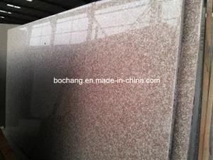 Polished Red Slab Granite for Kitchen Countertop/Vanity Top
