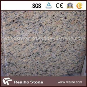 New Venus Gold Granite for Countertop