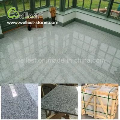 Hot Selling Floor Tiles Grey Color G603 Lunar Pearl Grey Granite for Interior Flooring