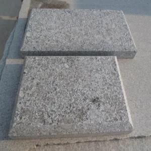 Shandong Cheap Pearl Flower Granite G383