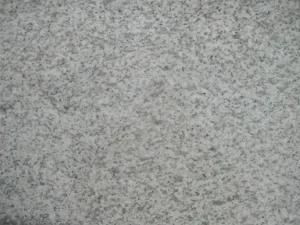 Chinese Granite Sesame White for Flooring Tiles/Building Materials