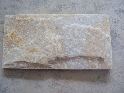 Hot Selling Factory Price China Beige Quartzite Plate