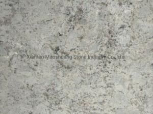Premium White Granite Galaxy Branco for Countertops