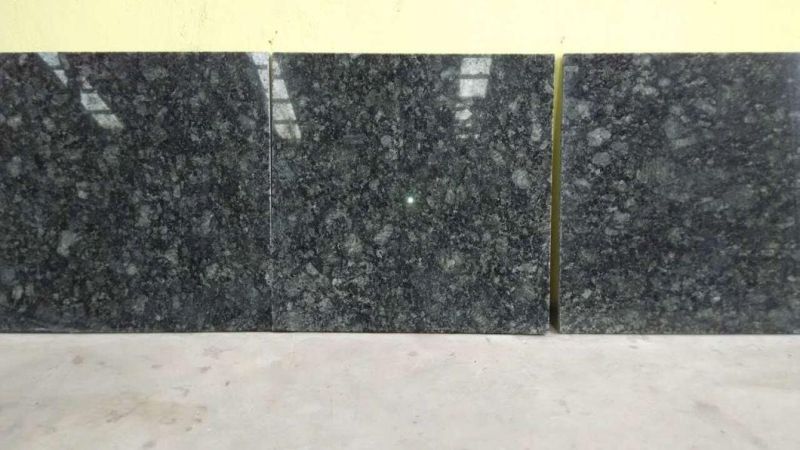Green Butterfly Granite /Stylish Color/Floor Decoration