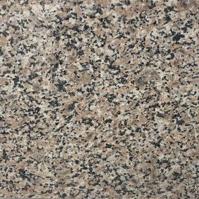 New Cheap Chinese Grey Granite for Polished and Flamed Granite