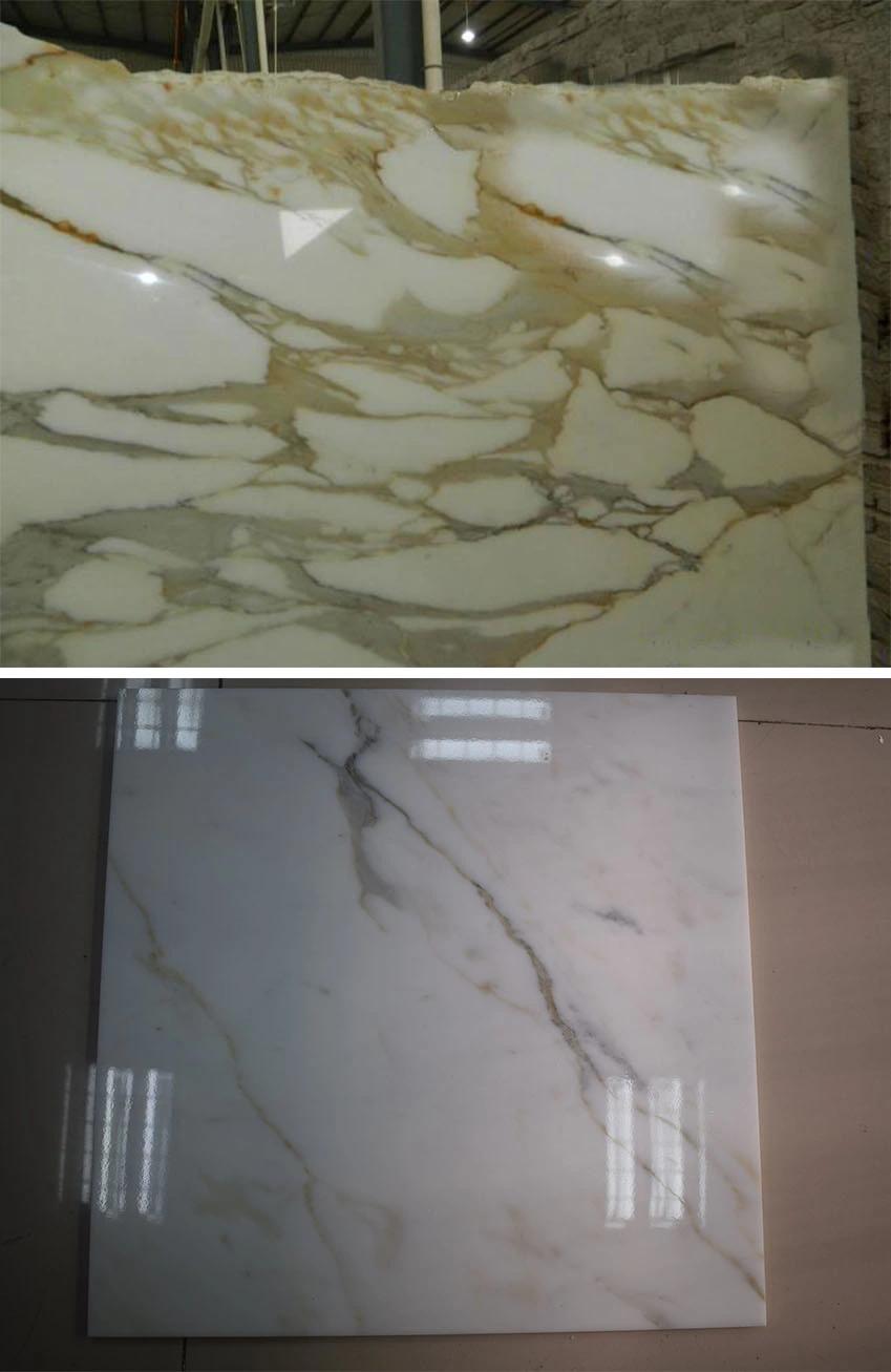 Hot Sale Good Price Chinese Natural Calcatta Gold Marble Tile for Backsplash