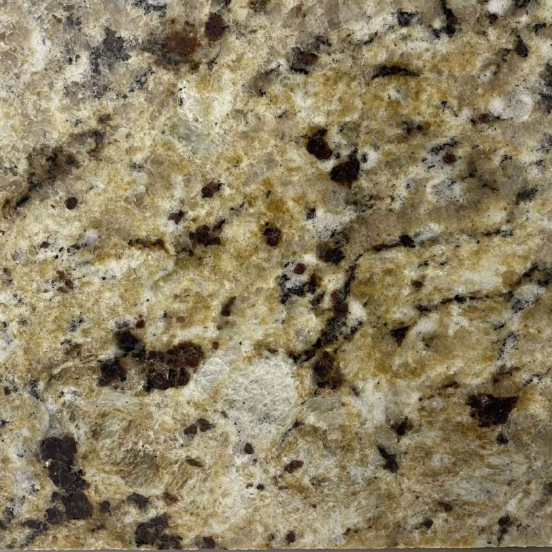 Dark Purple with Color Gorgeous Granite for Interior Decoration