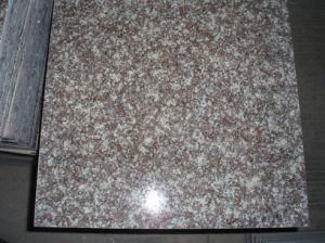 G664 Tile / Misty Brown Tile