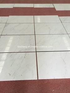 Natural Ariston White Marble for Flooring Tile Slab