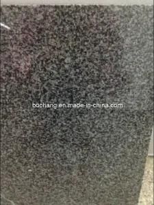 G654 China Nero Impala Black Granite