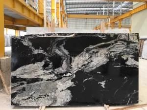 Chinese Popular Black White Silver Dragon Marble (With White Veins)