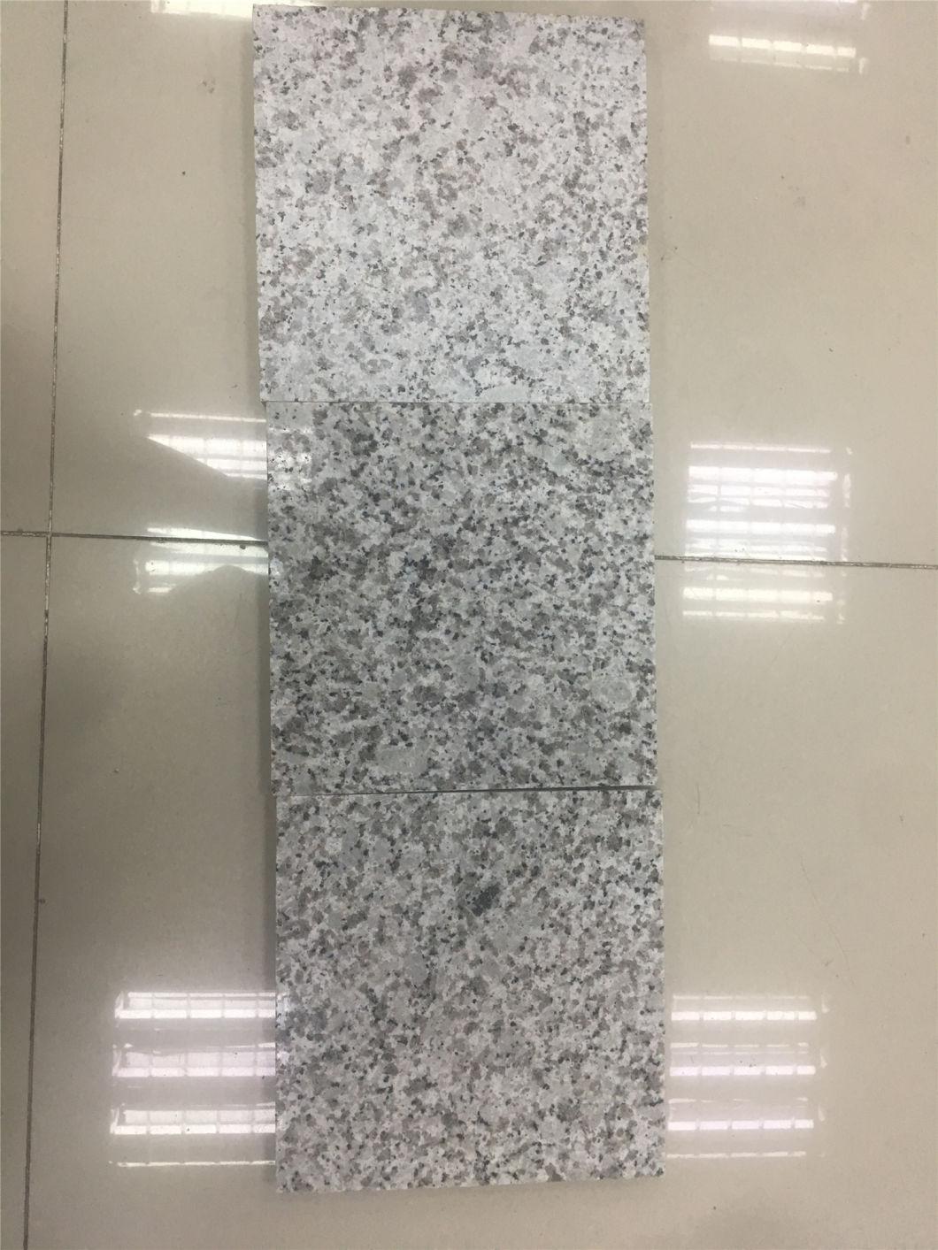 China Top White Granite/Jx G655 Granite/Jx G655 Granite for Floor/Background