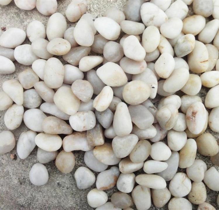 3-5cm White Color Polished Decorative River Stone Pebbles