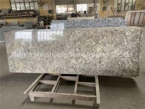 South African Golden Granite for Counter Tops