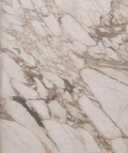 Calacatta Gold