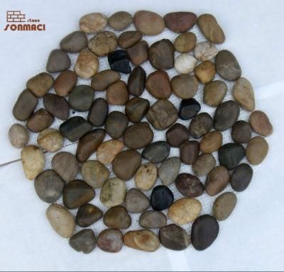 Polished Stone River Pebble Mosaic Paver