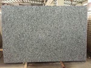 Hot-Sale White Mist Granite Slab for Countertop/Vanity Top